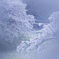 雨と桜