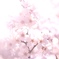 C8C4470B-F394-488C-A2EF-F15E8C3DAB6E