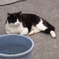 DSC01820