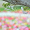 和田公園３