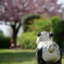 パンダのいる公園