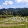はじまる大山千枚田