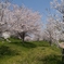 24E8F77D-3BF4-465D-945E-B14B3650674F