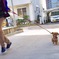 運動会
