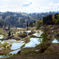 DSC_8706-Edit-2