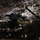縮景園1