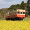 小湊鉄道２