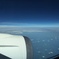 JAL〜sky blue