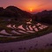 鴨川市 大山千枚田