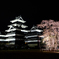 夜桜とお城