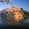 Sakura Reflection...
