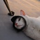 一眼ニャフ