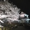 金沢城公園ライトアップ①