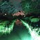 兼六園内にて