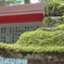 国指定重要文化財「郡山八幡神社」②