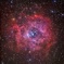バラ星雲