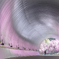 桜色のトンネル2