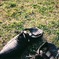 IMG_20180401_201400_356