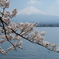 河口湖の春景色