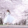 spring is in the air