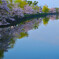 Sakurasaku