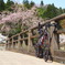 桜と自転車①