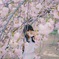 桜 白 Nikon