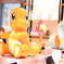 Pokemon Cafe : 裝飾物！