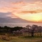 大地の息吹