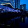 都会の川と夜桜