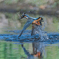 水面も青く
