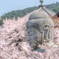 花浴