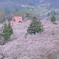 白山観音