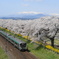 白石川堤一目千本桜と東北本線