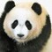 小さな眼