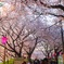 E290C090-1D3E-45D7-AB84-8B6FF0C0B090