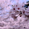 8DDE91F9-893B-4ED2-B645-79CA80358DBB