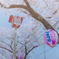 桜提灯