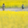 ファインダー越しの貴方