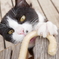 ドロボウねこ！