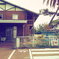 初島の学校