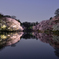 井之頭公園　夜桜