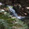 石と苔と水。