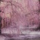 梅桃桜春爛漫