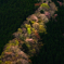 尾根の彩