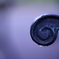 今は雨がすき