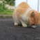 ねぇ、何してるのー？