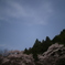 月下の桜-6