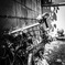 Still life ‘Abandoned bicycle ‘
