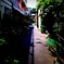 神田川路地